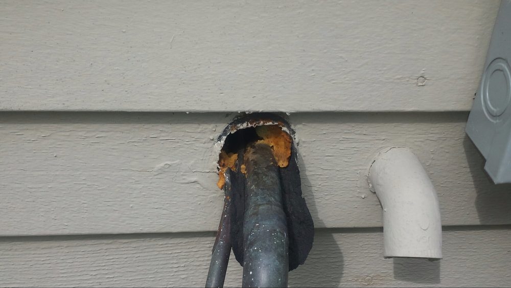 Tip Top Pest Control Dallas photo 3