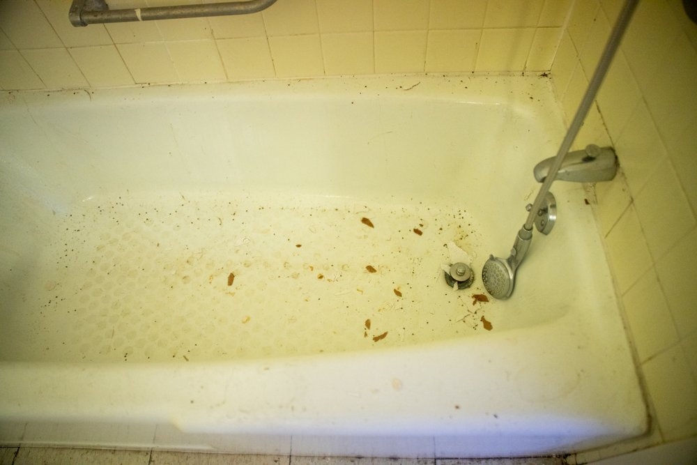 Tip Top Pest Control Dallas photo 6